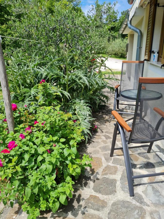 Apartma Istra Zora Sečovlje エクステリア 写真