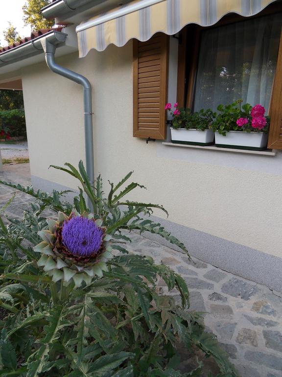 Apartma Istra Zora Sečovlje エクステリア 写真