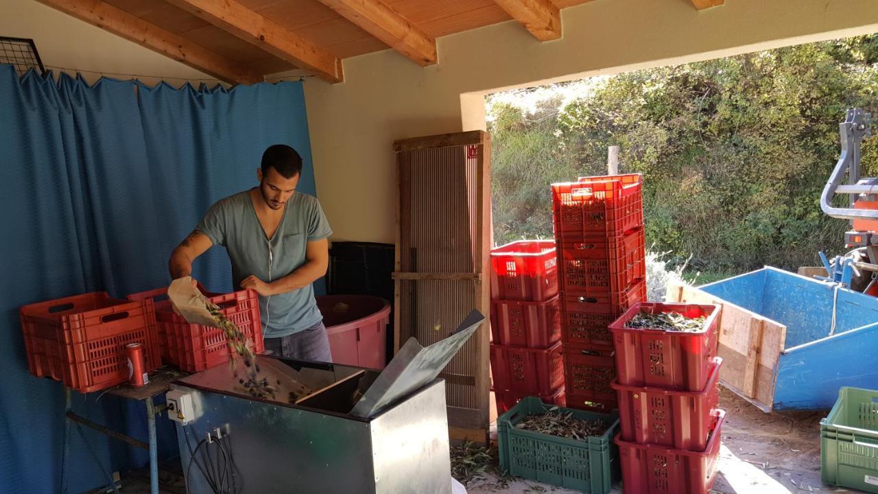 Apartma Istra Zora Sečovlje エクステリア 写真